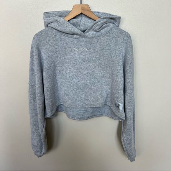 Savage X Fenty Essential Cropped Hoodie with Logo Pullover Platinum Grey Large - Picture 5 of 15